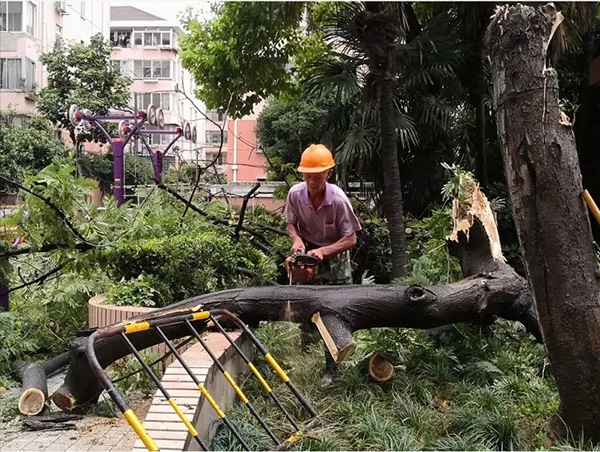 网站在线入口蝴蝶传媒广告