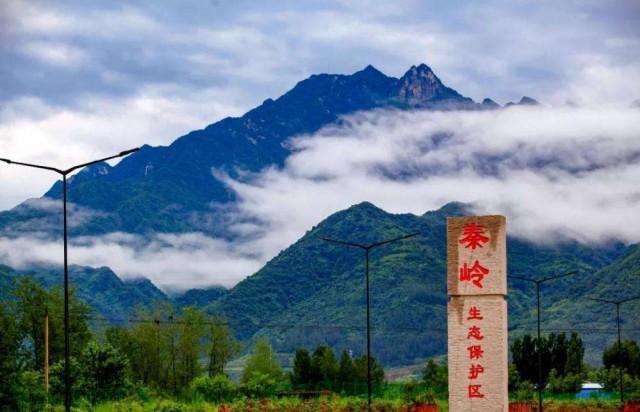 陕西秦岭保护再升级，违建最高罚两百万。