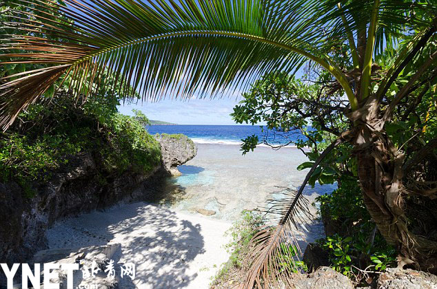 厉害鸭!鸭子在太平洋游2800公里 登陆纽埃岛成该岛唯一鸭
