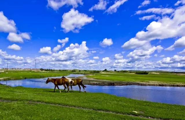民间女中音一开口,歌声不输降央卓玛!(附