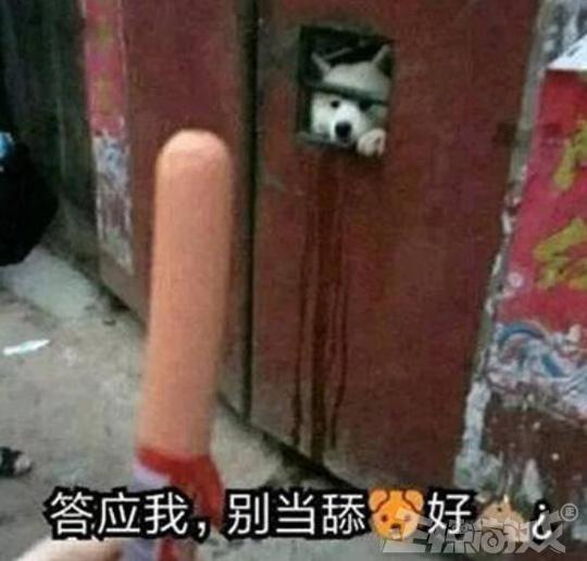 Ϸ߻Ū򹷵Ľɫʿȹֹ˵ȥˮ