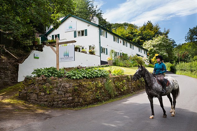 入住美丽避风港品独特美食