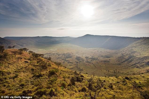 35岁美国妇女在乌干达野物动物园被绑架,歹徒索要50万美元赎金 35岁美国妇女在乌干达野物动物园被绑架,歹徒索要50万美元赎金