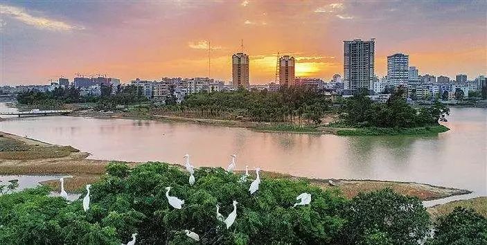 凤翔县gdp_陕西凤翔县新城规划图(3)