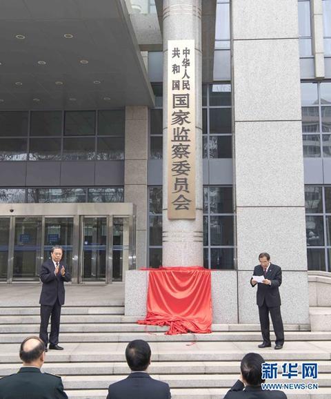 万博微信·5个月大的金毛狗狗患重病,主人开出遗愿清单,暖心的泪目