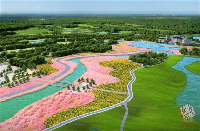 洪湖金湾花海位于洪湖市大湖岸边,培育千亩薰衣草,波斯菊,金鱼草