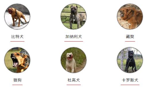 花旗国际娱乐平台官网 - 贵阳银行超13亿股限售股解禁在即 股价不降反升