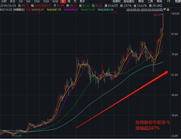 蘑菇街官网|重庆投资120亿的长江大桥将改为过江隧道,建设时间或再一次延期