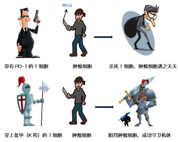 抗体药事 |“神药”发神力,keytruda究竟神在哪里?
