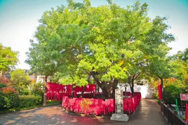 心“宿”春天,情“迁”一周的春色惊喜~