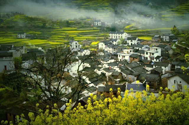 正是安徽赏花季,送你一份拍摄锦囊投身油菜花海