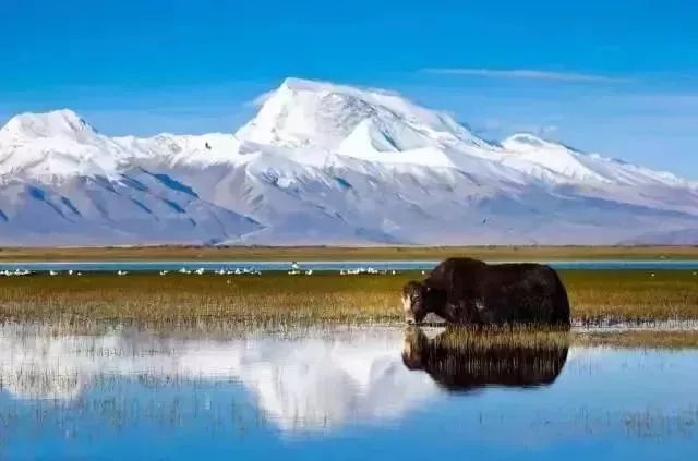 100多个景点全！免！费！从长沙坐火车可直达西藏，沿途风景美炸