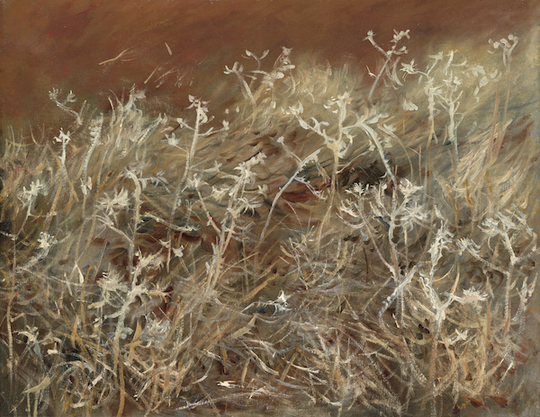 《蓟》(Thistles)1883/89. 芝加哥艺术博物馆 Gift of Brooks McCormick.