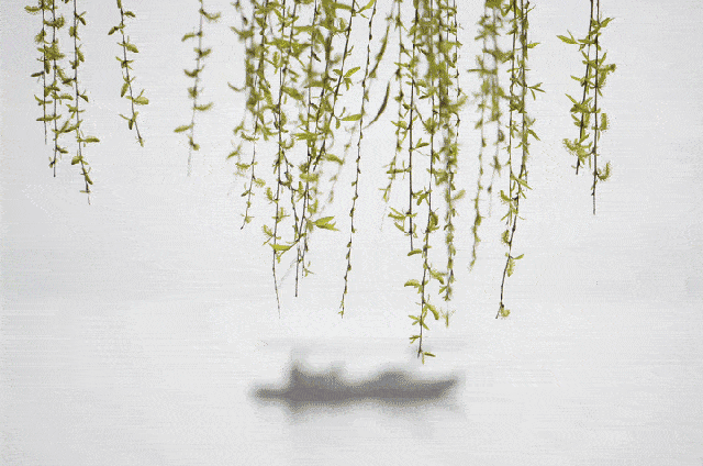 菏泽人!驾一辆爱车,去追逐春天的脚步!