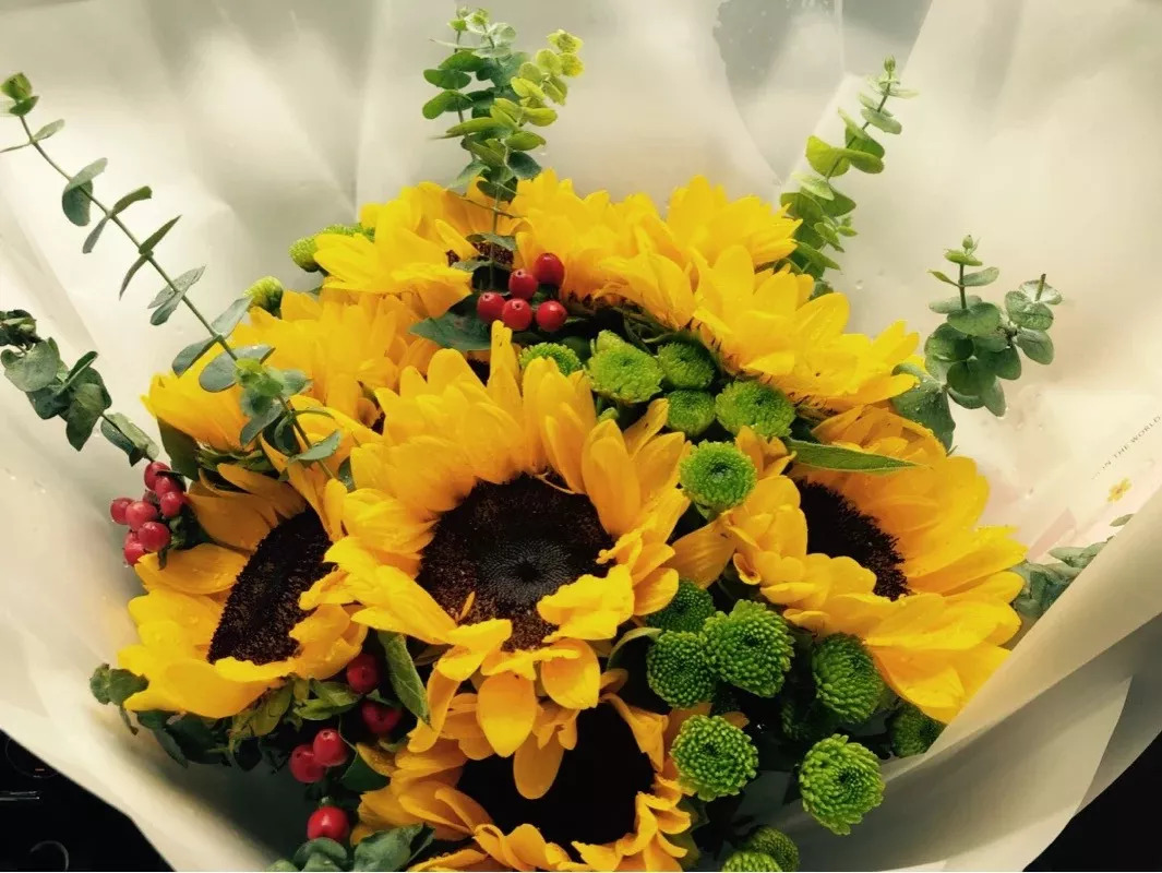 探秘北京最大最便宜的花市市场,从隆冬开到盛