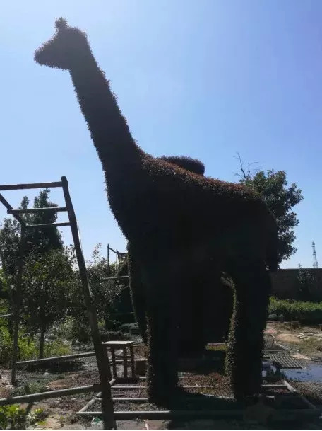 喜迎第十届中国沧州国际武术节和“双节”到来，17组五色草造型即将亮相狮城