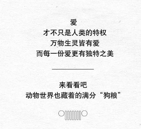 自主车企七夕花式营销，哪个甜到了你？