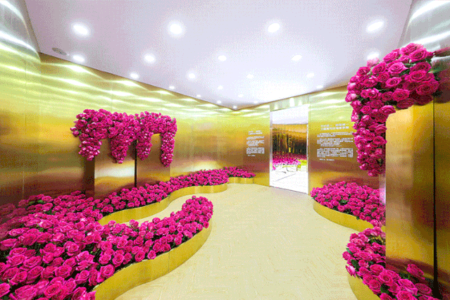 鼎护：新能源汽车专养 下一个十年的风口项目