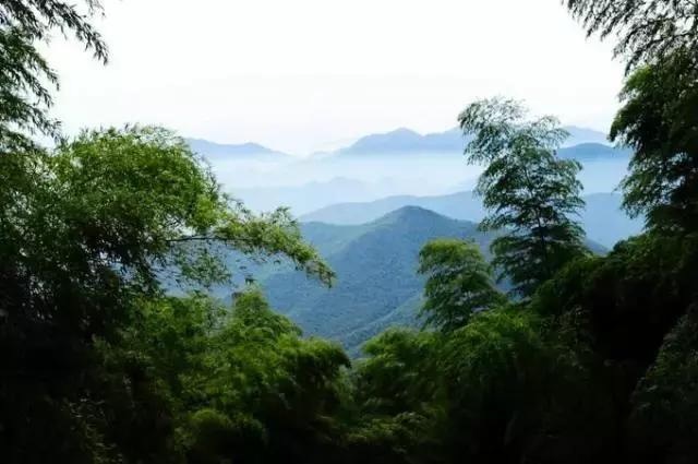 从佘山,到莫干山 关于荣威RX8,有一说一