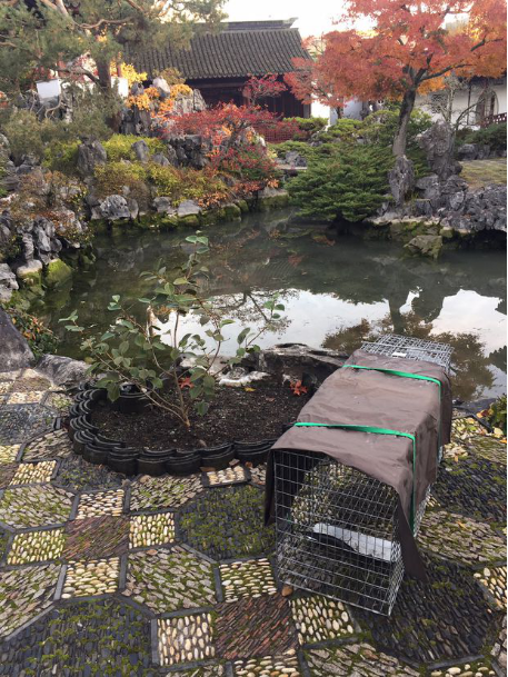 菲律宾金字塔赌场|拼多多火爆:市值超越百度,能成为下一个Costco吗?