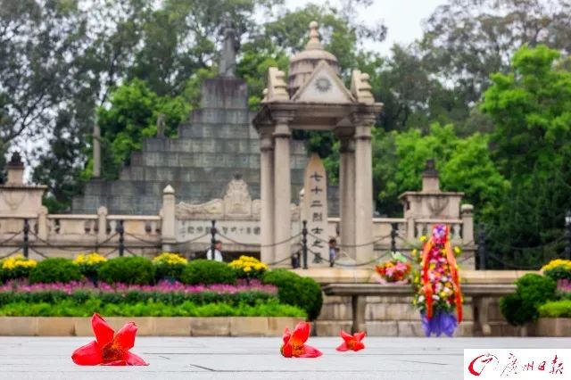 木棉花的19种煲汤方法，当真是花式煲汤