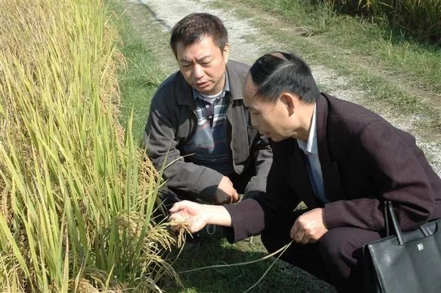 当年TVB老戏骨,却巅峰期退隐,回来广东当农民