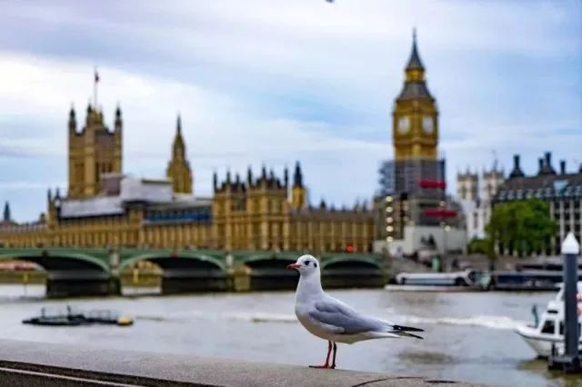 成都涉外航班106条居中西部第一,拟再新开波士