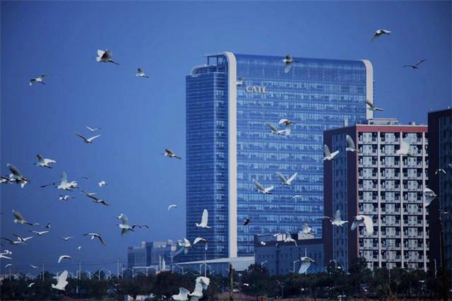 持续涨停的宁德时代,还会涨多久?