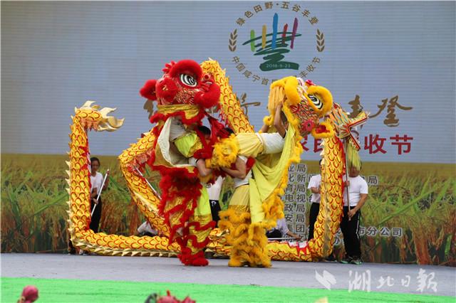 都说城里人会玩,其实咱湖北的农民朋友更会玩