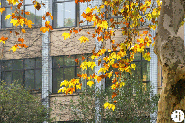 河海大学，美不哭你算我输！