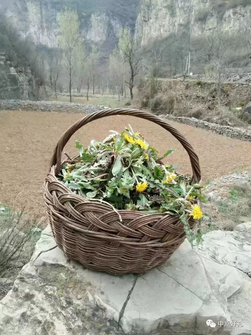 【约,大淇县!】第一书记邀您鹤壁淇县看看