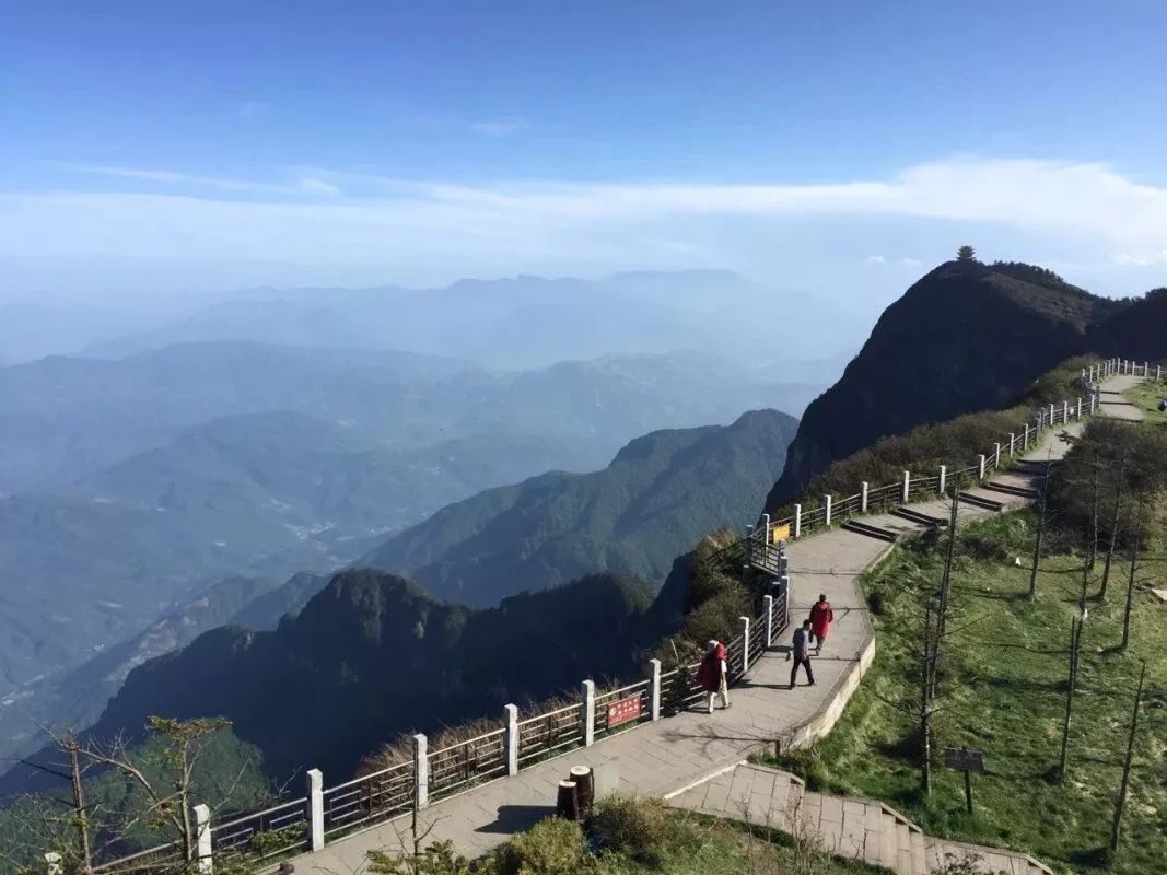 送福利啦!青桔单车60元月卡免费领!川报粉丝专