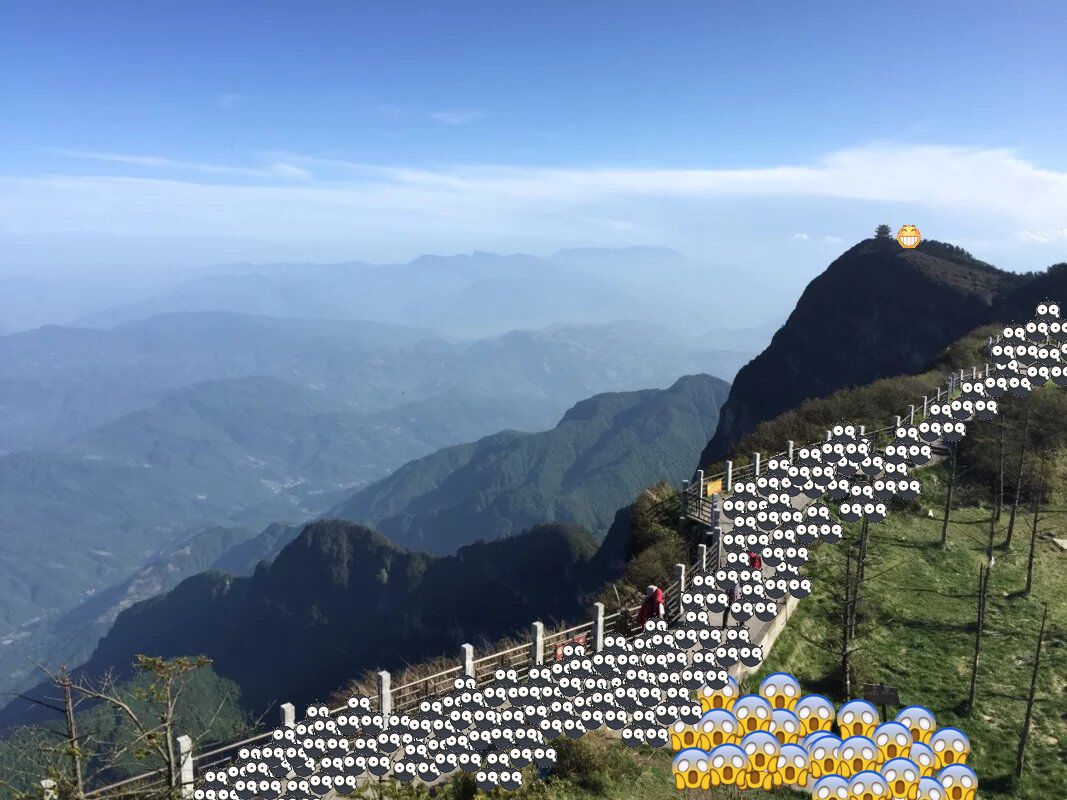 送福利啦!青桔单车60元月卡免费领!川报粉丝专