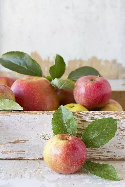 晚上吃它等于慢性自杀,第一个孩子就经常吃!