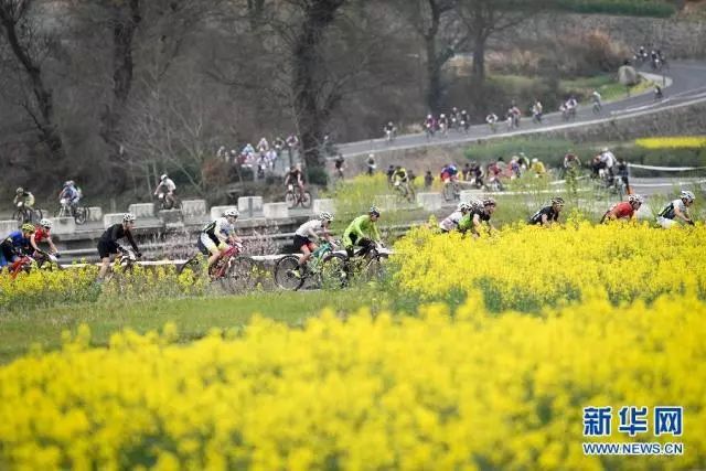 正是安徽赏花季,送你一份拍摄锦囊投身油菜花海