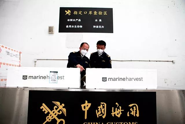 深圳海关电话 新浪网