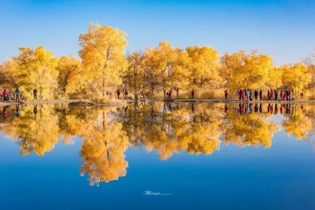 甘肃25个美到你不想回家的地方 你都去过几个?(图103) 甘肃25个美到你不想回家的地方 你都去过几个?(图103)