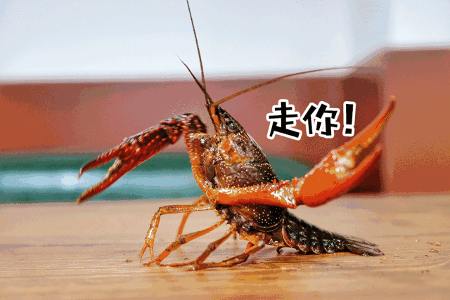 这一次我pick小龙虾!