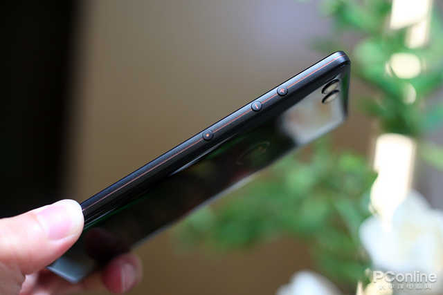 坚果的作用用途 FOtC-hevauxk0788039.jpg