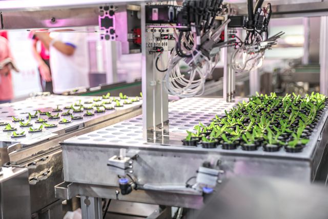 晋江“实业兴城”：传统产业打基础，高新产业卡位