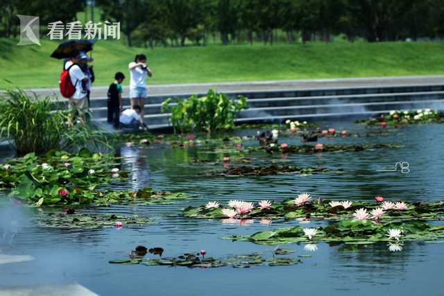 苏州城区收费站升级投用 车道数调整为5进8出 峰值通行效率可提升11%