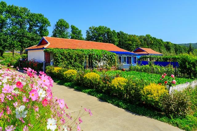 延边州妇联以美丽庭院、干净人家创建 助推乡