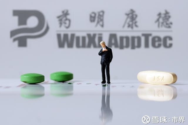 药明康德的资本局:演绎A股16涨停 正挺进港股