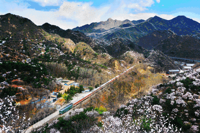 追火车的人:90后拍摄40万张照片,记录京张铁路百年变迁