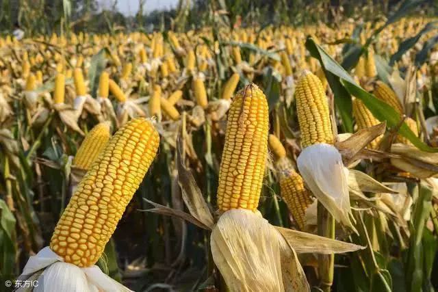 建设高质量发展的先行区 --通辽市实施新时代东