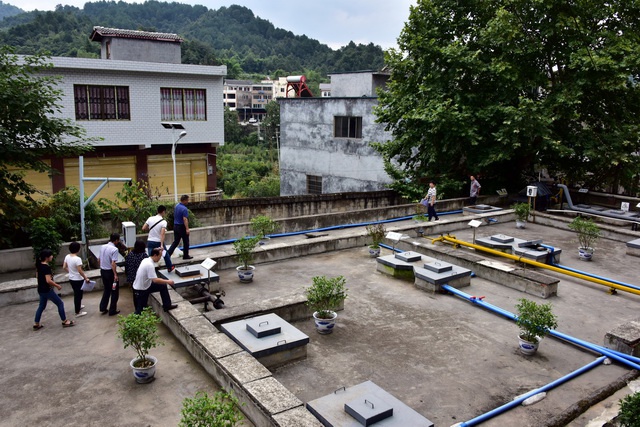 希尔顿娱乐场体验金,肉体家暴会留疤,精神“家暴”不见血,他们正在以爱之名伤害你