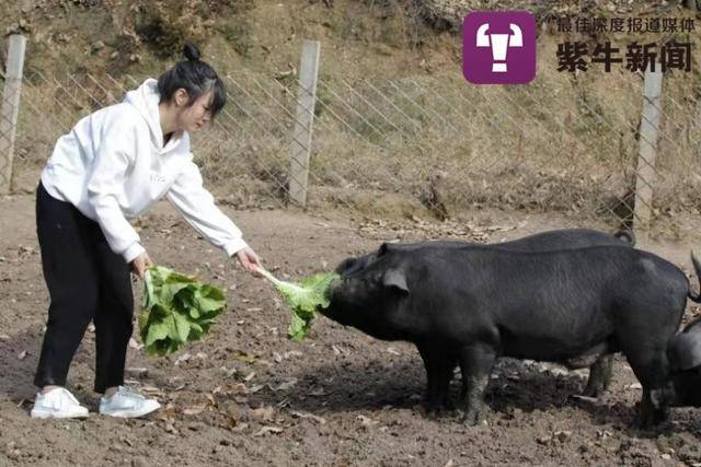 凯时开户网站_郏县:高铁站施工忙