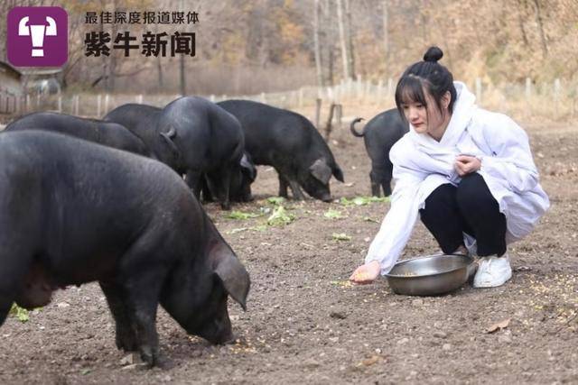 在国外推广赌博游戏 酷派CEO梁锐:今年做到不亏损,明年争取扭亏为盈