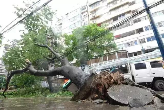 暴雨天母女公交站触电死亡 雨天如何防触电?这