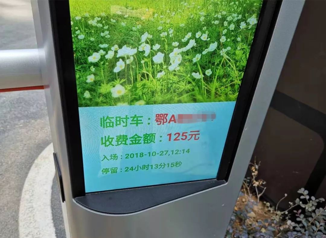 热议!武汉某小区停车24小时,收费一百多,合理还